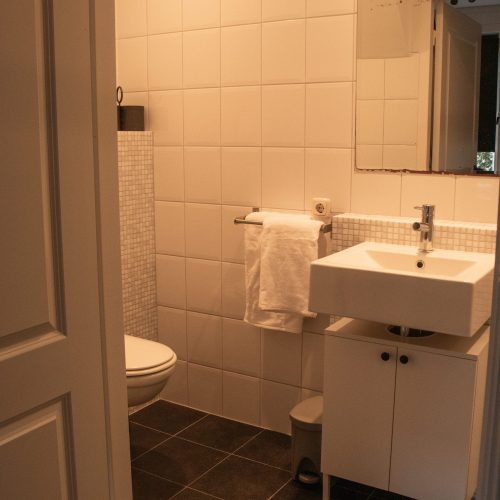 Badkamer van vakantiewoning De Kapelaan, Vakantiewoningen De Pastorie in het Land van Maas en Waal.