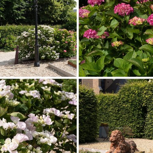 Voortuin vakantiewoningen De Pastorie, Land van Maas en Waal, Gelderland